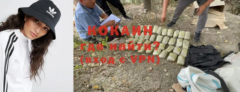 COCAIN FishScale  дарнет шоп  Бикин 