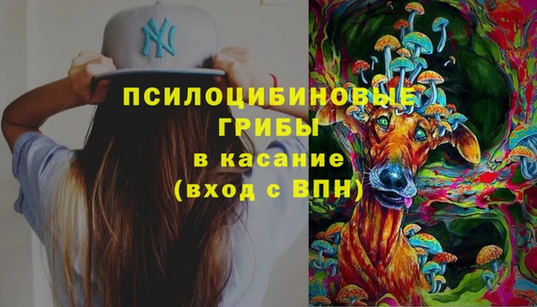 скорость Абаза