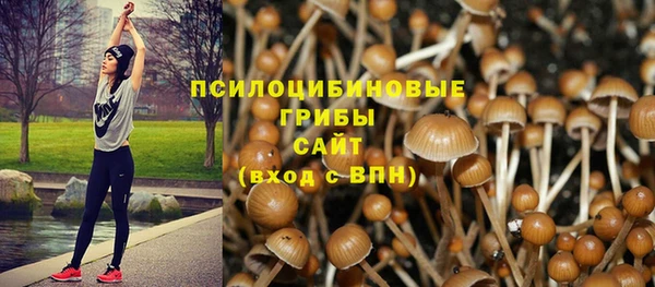 Альфа ПВП Абдулино