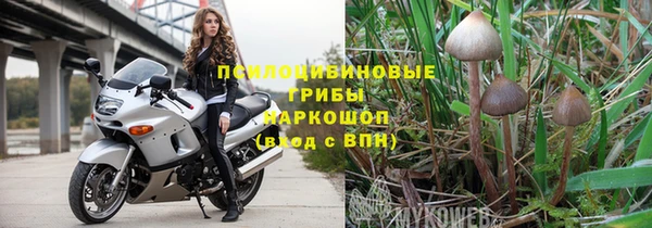 ALPHA PVP Александровское