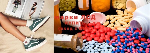 стаф Абинск