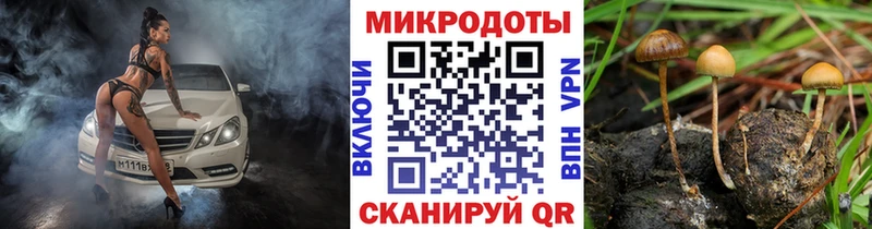 где можно купить наркотик  Бикин  Псилоцибиновые грибы Psilocybine cubensis 